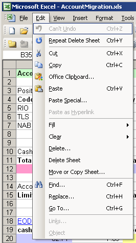 File:Excel cant undo.PNG